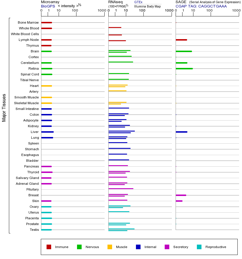基因在不同组织中的表达图