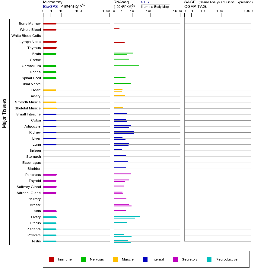 基因在不同组织中的表达图
