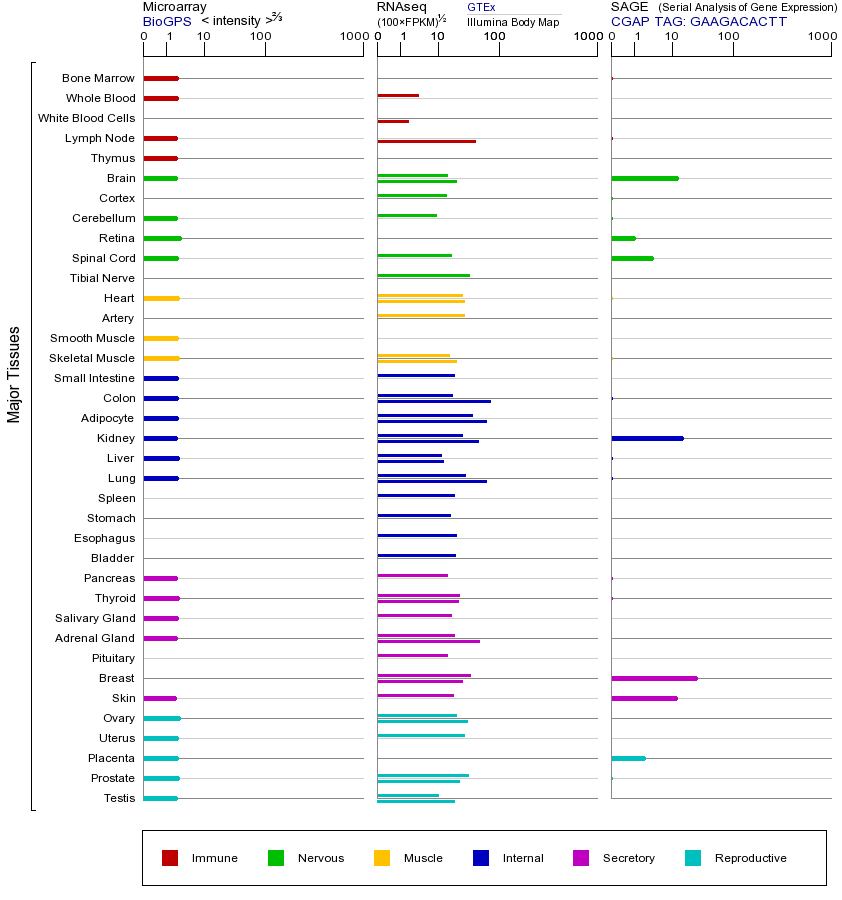 基因在不同组织中的表达图