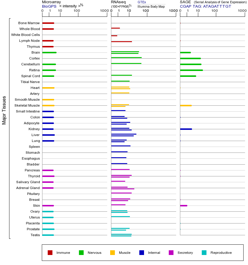 基因在不同组织中的表达图