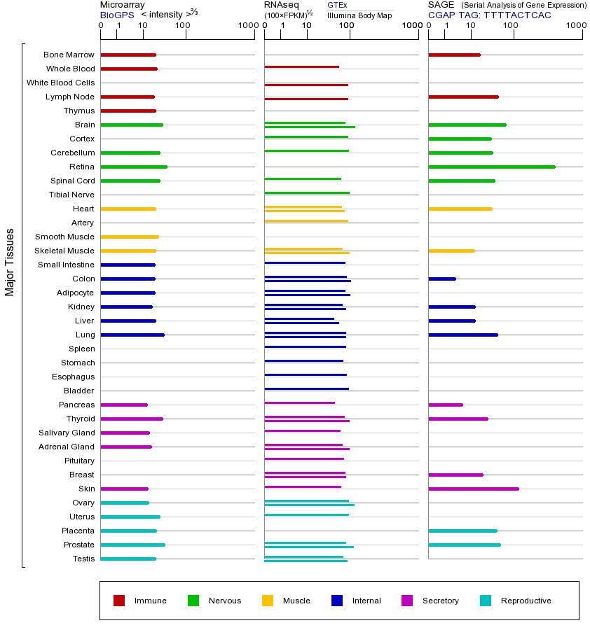 基因在不同组织中的表达图