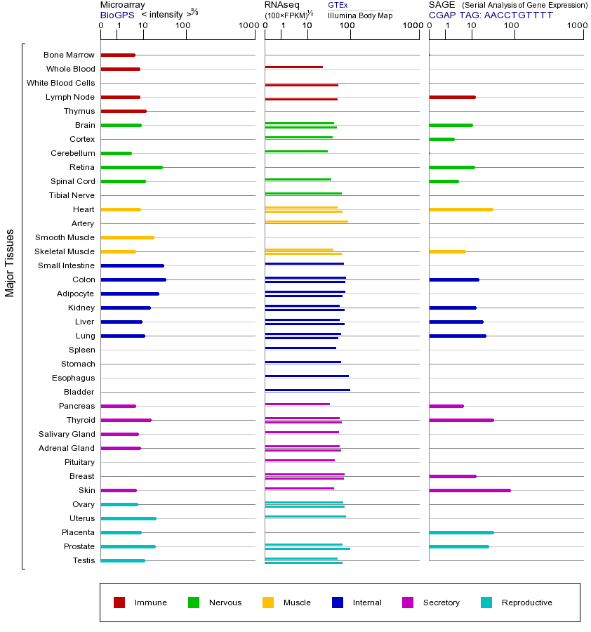 基因在不同组织中的表达图