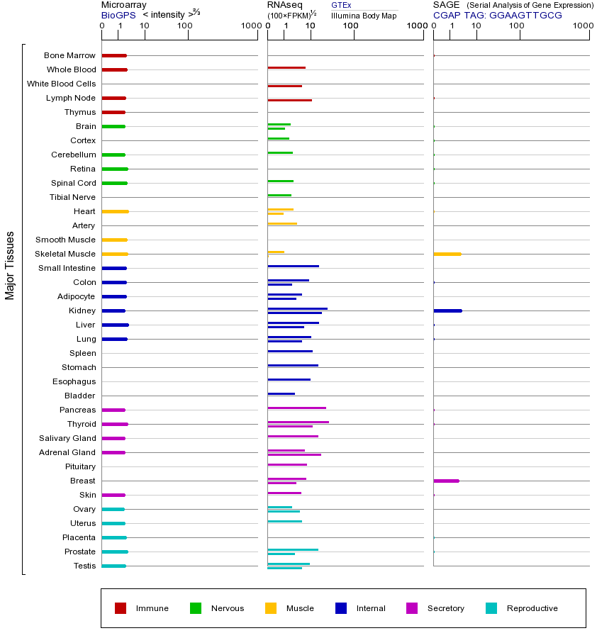 基因在不同组织中的表达图
