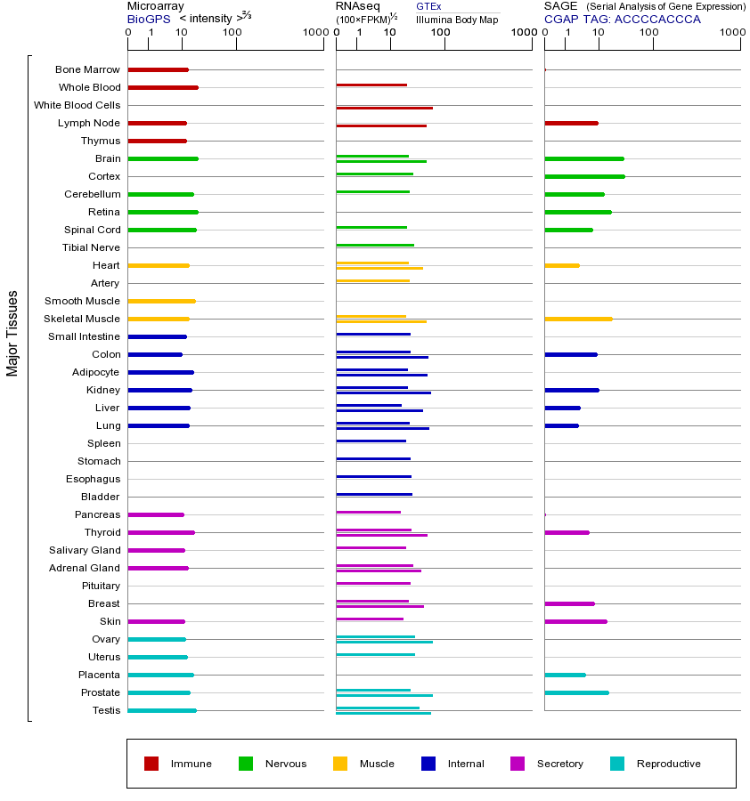基因在不同组织中的表达图