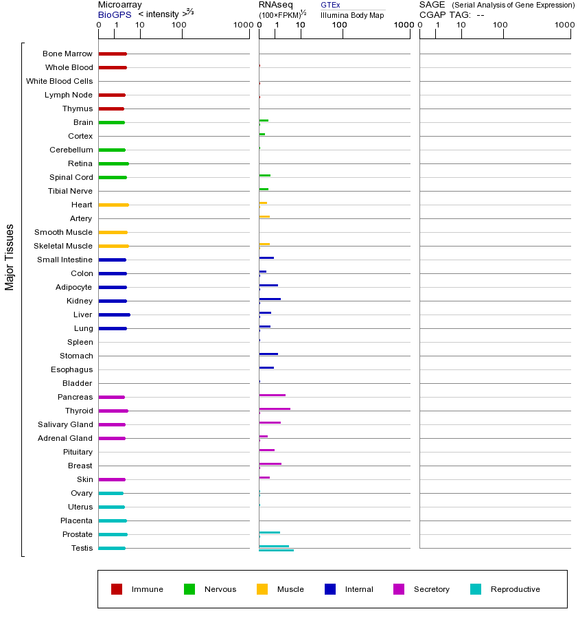 基因在不同组织中的表达图