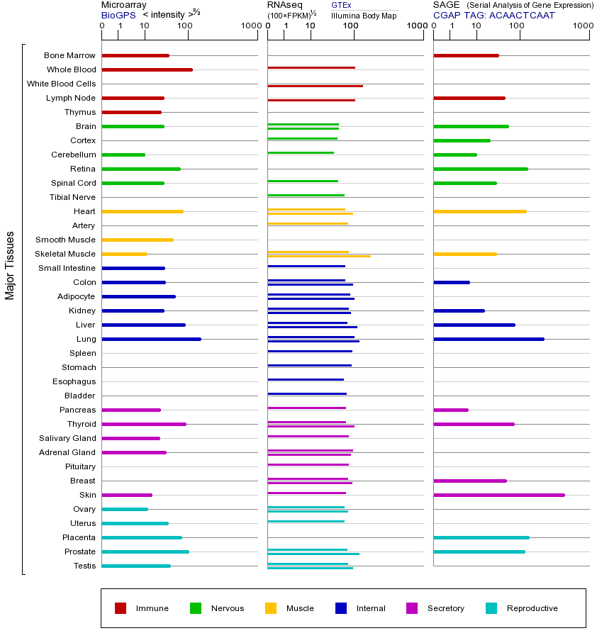 基因在不同组织中的表达图