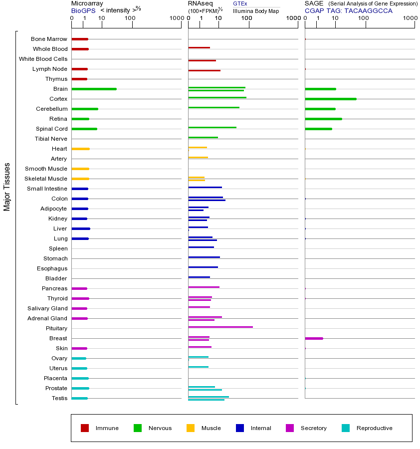 基因在不同组织中的表达图