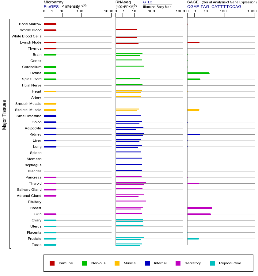 基因在不同组织中的表达图