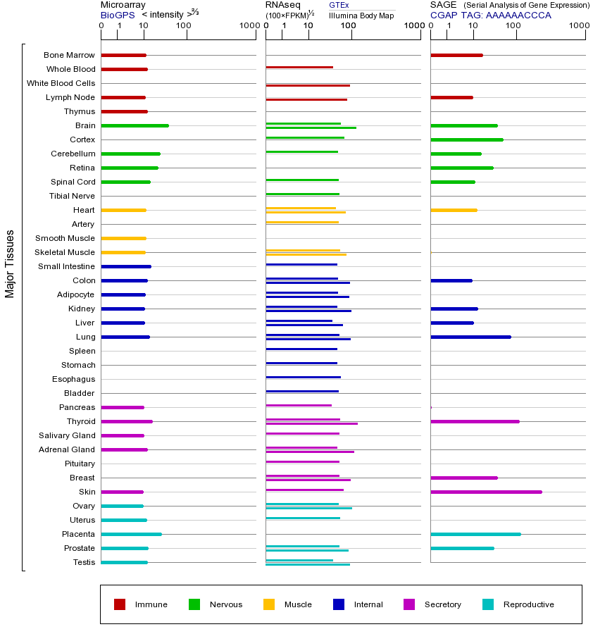 基因在不同组织中的表达图