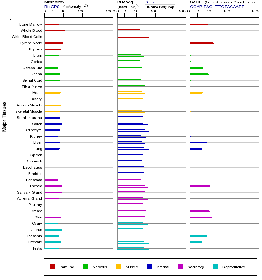 基因在不同组织中的表达图