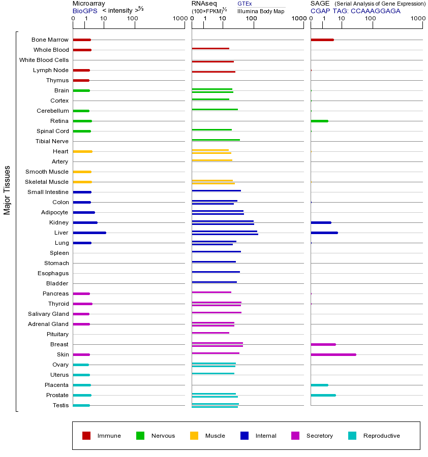 基因在不同组织中的表达图
