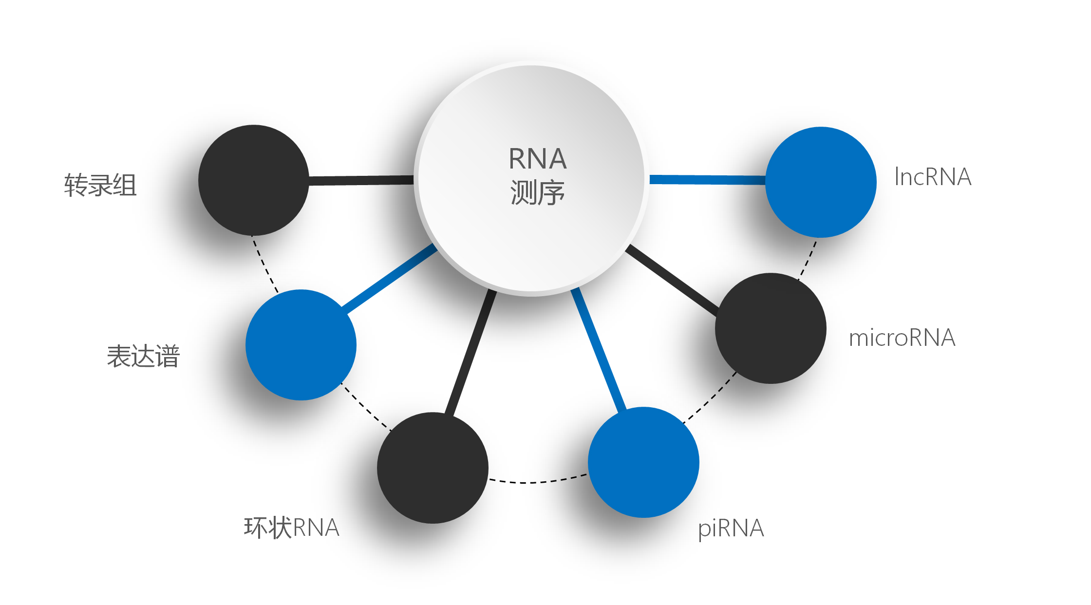 rnaseq-2.jpg